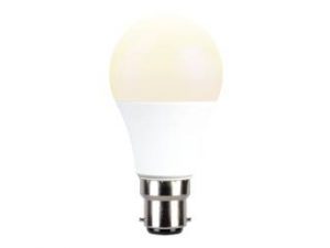 Bulb