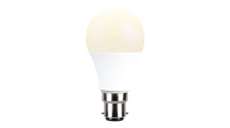 Bulb